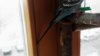 IMG_20170416_132545.jpg