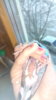 IMG_20170417_074900.jpg