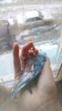 IMG_20170417_074538.jpg