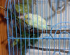 20170422_130724.jpg