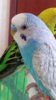 jzwAT0g7Vqw.jpg