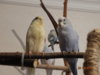 DSC01705.JPG