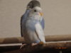 DSC01702.JPG