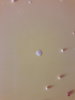 20170426_105351.jpg