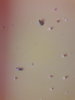 20170426_110417.jpg