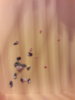 20170427_075613.jpg