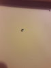 20170427_075606.jpg