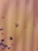 20170427_081831.jpg