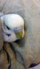20170430_144744.jpg