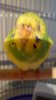 DSC_1991.JPG