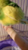 DSC_1996.JPG