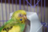 DSC01439.JPG