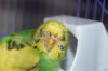 DSC01437.JPG