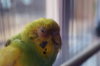 DSC01445.JPG