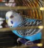 DSC01954.JPG