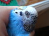 DSC01957.JPG