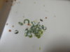 DSCN3565.JPG