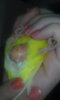 20151011_133355.jpg