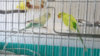 20170428_121717.jpg