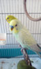 20170429_160048.jpg