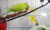 20170508_181213.jpg