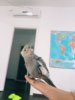 IMG-20170516-WA0036.jpg