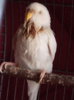 P70517-102721.jpg