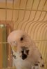 IMG_20170517_203244.jpg