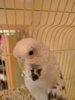 IMG_20170517_203240.jpg