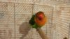 IMG_2017-05-17_231413.jpg