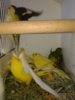 20170507_111405.jpg
