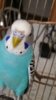 20170523_095254.jpg