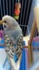 DSC_0589.JPG