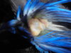 DSC01387.JPG