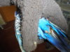 DSC01390.JPG