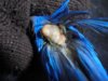 DSC01383.JPG