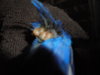 DSC01389.JPG