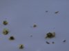 DSC01832.JPG