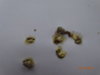 DSC01964.JPG