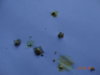 DSC01976.JPG