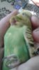 20170628_184706.jpg