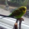 20170701_125409.jpg