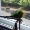 20170701_131353.jpg