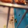 20170701_171640.jpg