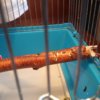 20170701_172448.jpg