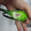 20170701_204819.jpg