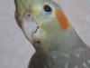 DSCN0524.JPG