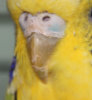 IMG_0422123.jpg
