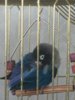 IMG_0041.JPG