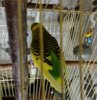 IMG_20170803_211754.jpg